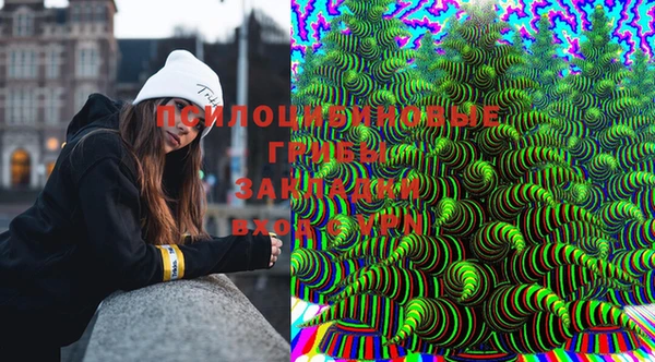 круглые Аркадак