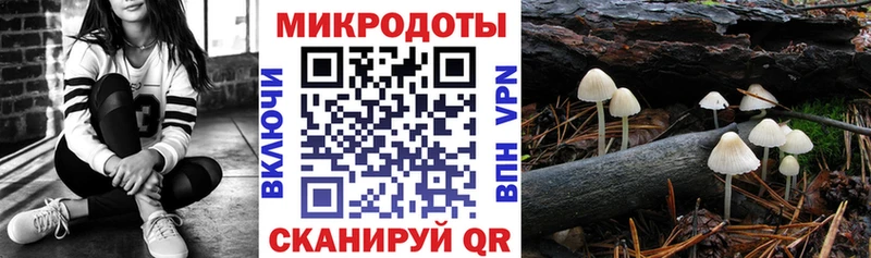 нарко площадка телеграм  Белозерск  Галлюциногенные грибы мицелий  купить наркоту 